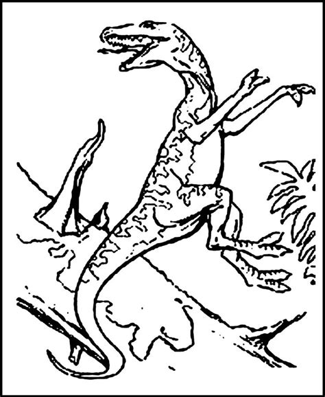 Just click on download button and the image will click on the print button above, adjust the paper to a4 size, use the best print quality for maximum results. Free Printable Dinosaur Coloring Pages For Kids | Malvorlagen tiere, Malvorlagen und Dinosaurier ...
