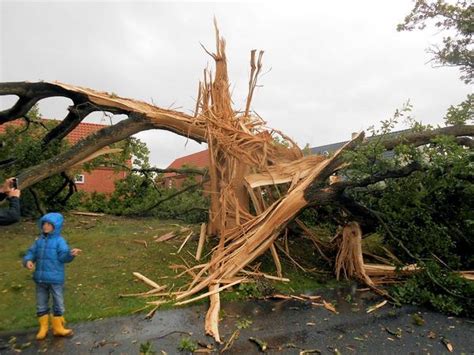 Et lynnedslag og et væltet træ indstiller togtrafikken mellem sorø og slagelse. DMI on Twitter: "Lyn-ramt egetræ. Slagelse ca. kl.15 ...