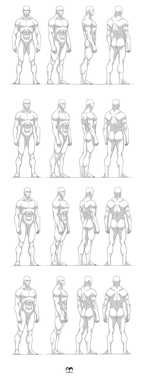 Zachary, wak, md, et al. 410 best images about Reference Model Sheets on Pinterest