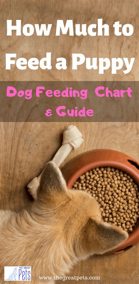 See full list on thehappypuppysite.com Feeding Your Puppy or Dog : The Ultimate Guide in 2020 ...