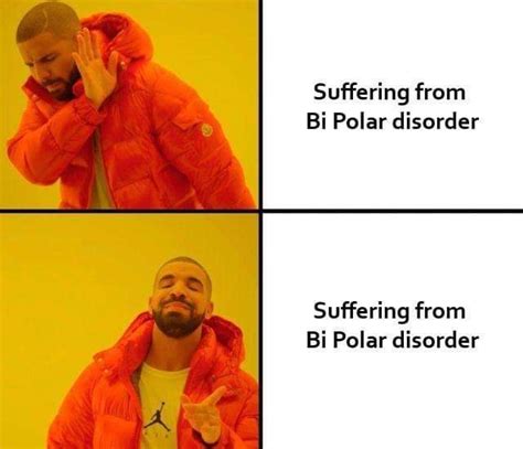 | meaning, pronunciation, translations and examples. What is the meaning of this bipolar disorder meme? : answers