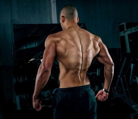 Soft tissues around the spine play a key role in low back pain. Male Anatomy Reference | Big back workout, Back muscles ...