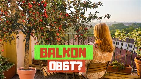Kleine apfelsorten für den hausgarten OBST AUF DEM BALKON? Kleine Obstbäume für Garten, Terrasse ...