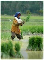 Menyambung benda kerja yang sangat kecil, tipis atau bentuknya istimewa dan memiliki ketebalan yang berbeda. Revolusi Hidup: Kerja Keras