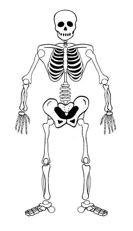 Der käuferschutz ist deine absicherung, wenn eine ware nicht ankommt, beschädigt ist oder nicht der beschreibung entspricht. Gruselfabrik.de: der Halloween & Horror Blog » Blog Archiv ...