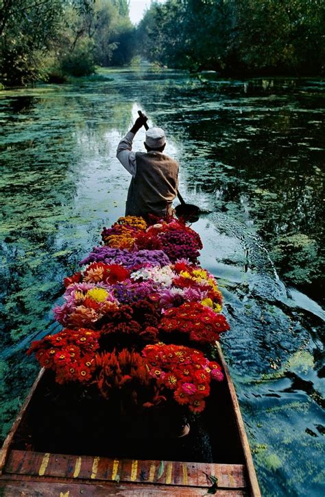 Apparently, this user prefers to keep an air of mystery about them. A Shikara carrying flowers on the Dal Lake by Steve Mc ...