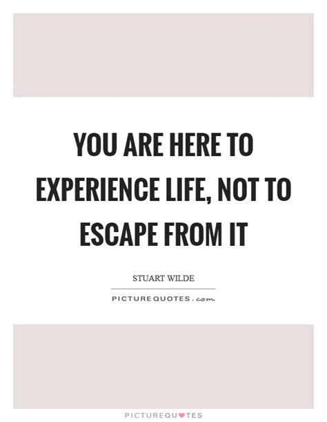 Quotes from famous authors, movies and people. You are here to experience life, not to escape from it | Picture Quotes
