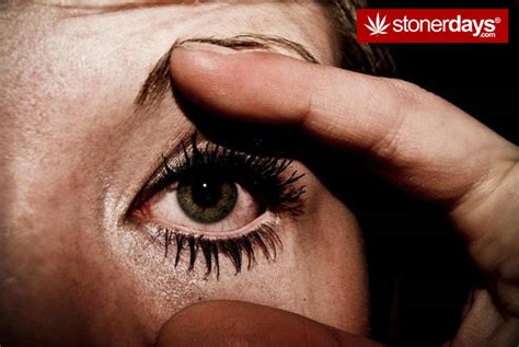 Stoners are habitually intoxicated by alcohol or drugs. Wake N Bake Daily Stoners Pictures - Funny Stoner Pics ...