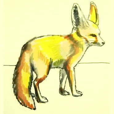 How to draw a fox. How to draw a Fennec Fox tutorial | Animal drawings ...