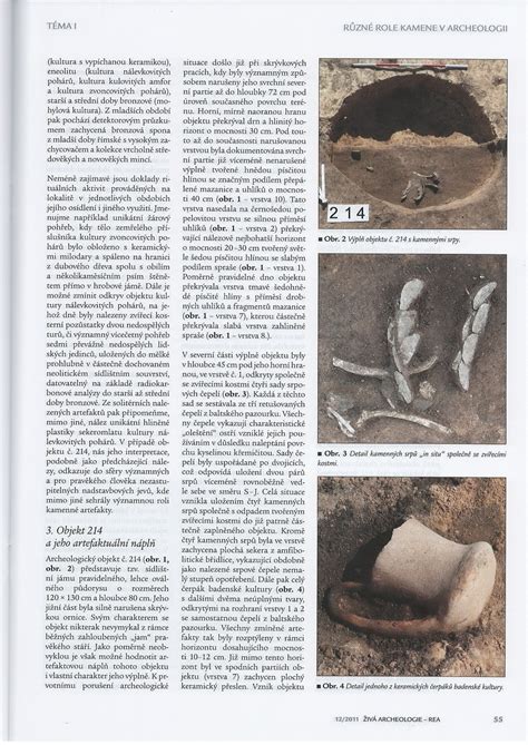 Sociální simulace při zkoumání společnosti, ekonomiky a využívání krajiny v době železné: Živá archeologie 12