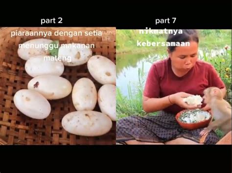 Cara memilih telur ayam ras yang benar. Tak Ada Telur Ayam, Wanita Ini Pilih Masak Telur Buaya Kukus