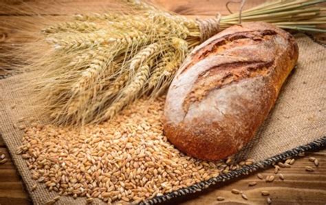 Sourdough bread is the bread of breads. How Long Does Wheat Bread Last? Does Wheat Bread Go Bad ...