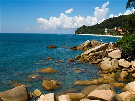 Teluk cempedak or teluk chempedak (literally : TELUK CHEMPEDAK... 24 km dari Homestay Bajet Siti ...