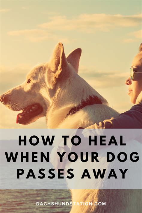 Find the support you need when you are grieving the loss of a pet. How To Cope With The Loss Of A Dog | Dogs, Losing a dog ...