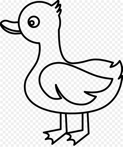 Maybe you would like to learn more about one of these? Menakjubkan 15+ Gambar Kartun Bebek Hitam Putih - Gani Gambar