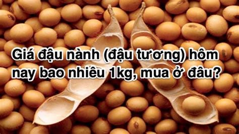 Giá bitcoin tiếp đà lao dốc trong sáng nay 14/5. Giá đậu nành (đậu tương) hôm nay bao nhiêu 1kg, mua ở đâu ...