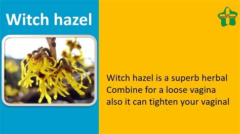 We'll review the issue and make a. How To Tighten Vagina Naturally With Witch Hazel & Aloe ...