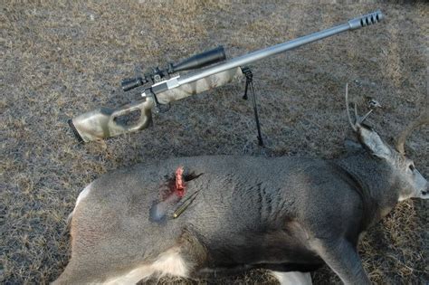 A.50 cal liquifies your i'm not sure the word wound and 50 caliber go together. Deer Hunter 50 BMG