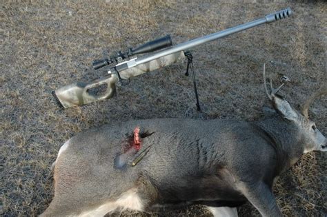 Instead, it missed his spine and exited through his stomach. Deer Hunter 50 BMG