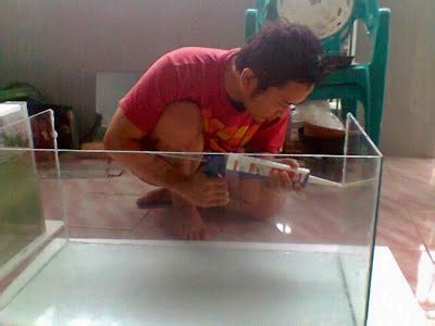 Nah setelah semua tahap telah di lalui sekarang kita bisa menentukan pilihan ikan hias yang pantas untuk menghiasi ruang rumah anda. Cara membuat aquarium ~ Dunia Air