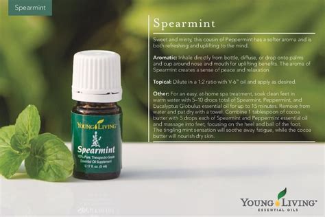 By our suggestions above, we hope that you can found the best spearmint oil young living for you. Young Living Essential Oils: Spearmint Usage Card | I Dig ...
