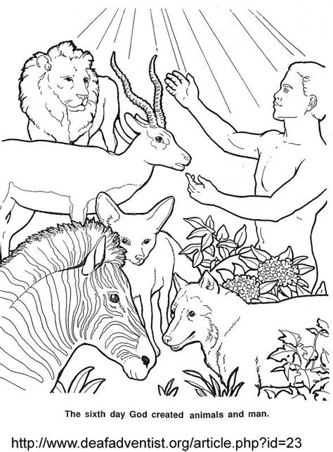 Everything god made was very good. Adam and Eve coloring 아담과 이브 색칠공부 자료 | Sketches, Bible ...