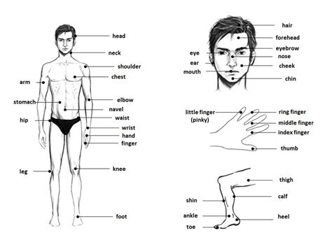 Female body language, or the body language of women, is not all that different from that of men. Pin on Learning English