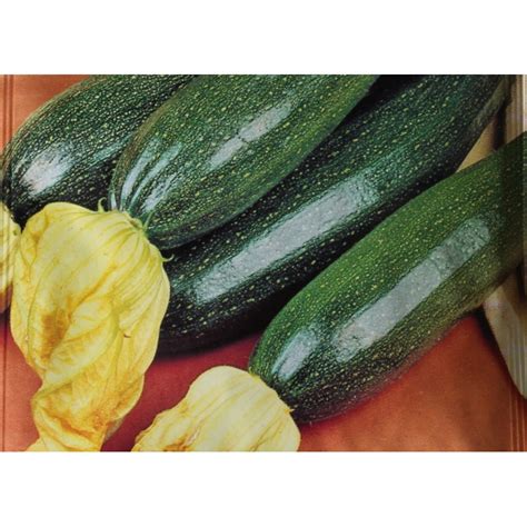 You can use the thinnest bamboo for peas and beans, but heavier plants, heavier fruits. Black Beauty biological zucchini - Cucurbita Pepo