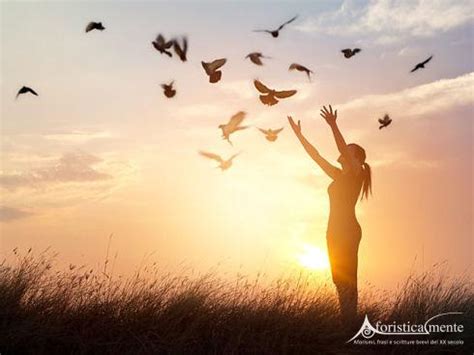 Alle volte la forza, la giusta motivazione per andare avanti, la si può trovare dentro un aforisma o una frase celebre, come quelle. Frasi, citazioni e aforismi sul rialzarsi ...