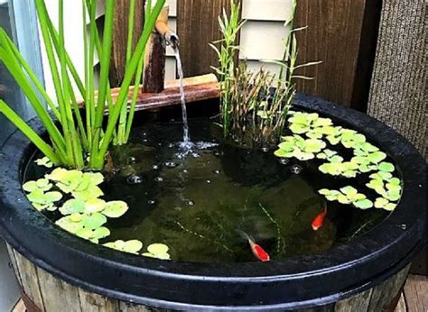 Guppy datang ke indonesia sekitar tahun 1920 sebagai ikan hias di akuarium. 11 Desain Kolam Ikan Minimalis Depan Rumah, Banyak Pilihan ...