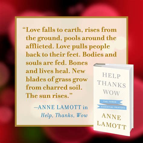 Being on a book tour is like being on the seesaw when you're a little kid. From Anne Lamott | Anne lamott, Book worth reading, Words