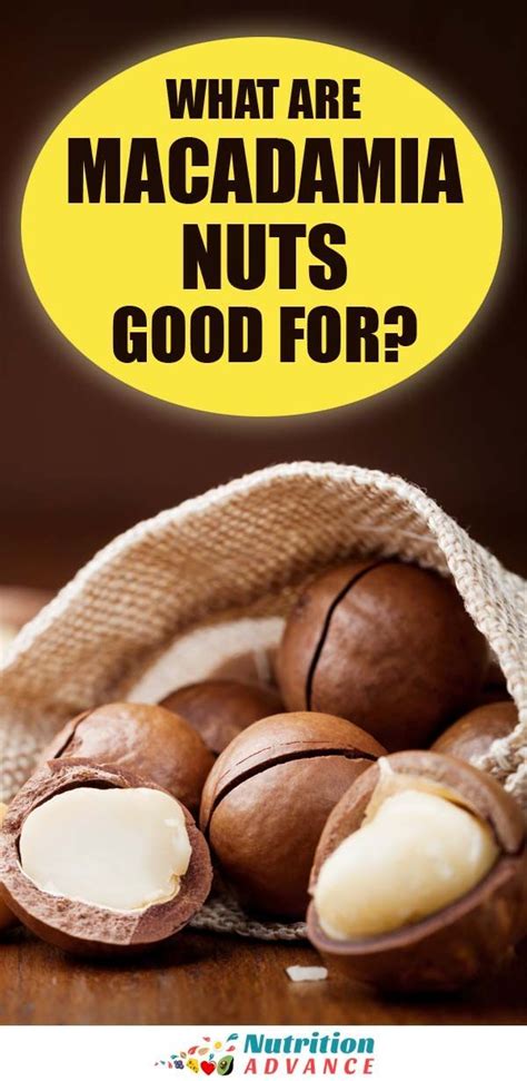 Chestnut 15 health benefits and nutrition facts. Are Macadamia Nuts Good For You? | Macadamia nuts ...