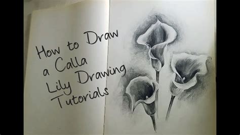 Okeeffe caught the attention of the new york art community in 1916 it would be a few more decades before women were given access to art training in american universities and colleges. How to Draw A Calla Lily | Drawing Tutorials - YouTube