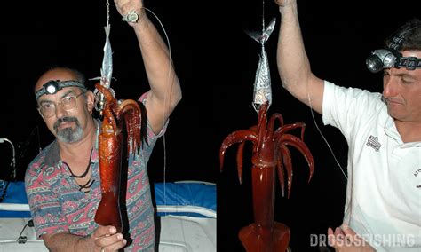 Ενα θρίλερ βρίσκεται σε εξέλιξη στα γλυκά νερά και συγκεκριμένα στην πάροδο παναγούλη 10. Εποχιακά ψαρέματα: Θράψαλα σε Κοφτά Νερά - DrososFishing - Τα πάντα για το ψάρεμα