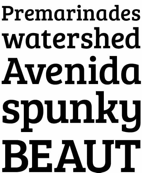 This font is suitable to use for fashion, classic style. Bree Serif by TypeTogether's Veronika Burian and José ...