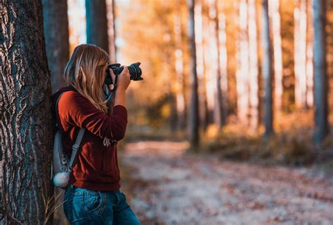 3,872 uploads · 12 forum posts · 1,780 members · 503,176 visitors. The 7 Best Cameras for Wildlife Photography (2020) - Bird ...