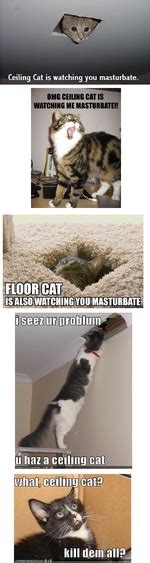 I've got my girlfriend's cat. Ceiling Cat is watching you masturbate. / funny pictures ...