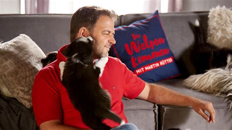 Meistens noch durchsichtig und sehr zerbrechlich, aber schon vollständig vorhanden. "Die Welpen kommen - mit Martin Rütter": Ach wie süß ...