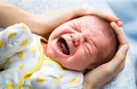 Selain itu, kami juga akan memberikan rekomendasi. Senarai Susu Formula Terbaik Untuk Bayi 0-6 Bulan Yang ...