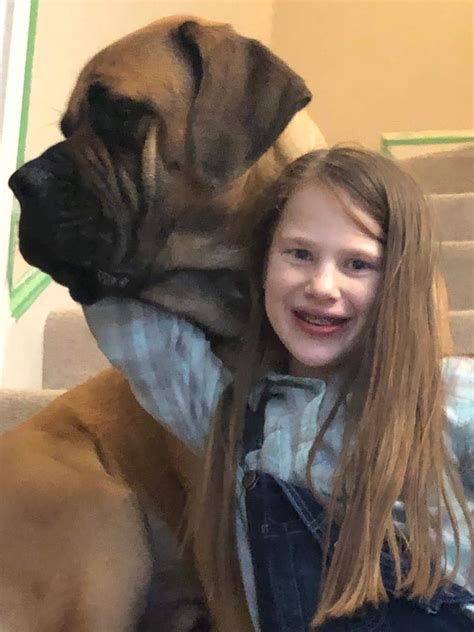 Little Girl Loves Huge Dogs Like Siblings - Excellent Dogs Club