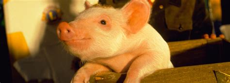 See related tags below and find more film lists by similar to talking animal topic. Weekend Roundtable: Favorite Talking Movie Animals - High ...