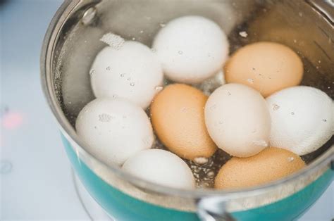 Check spelling or type a new query. Cara Memasak Telur yang Tepat Mulai dari Telur Rebus ...