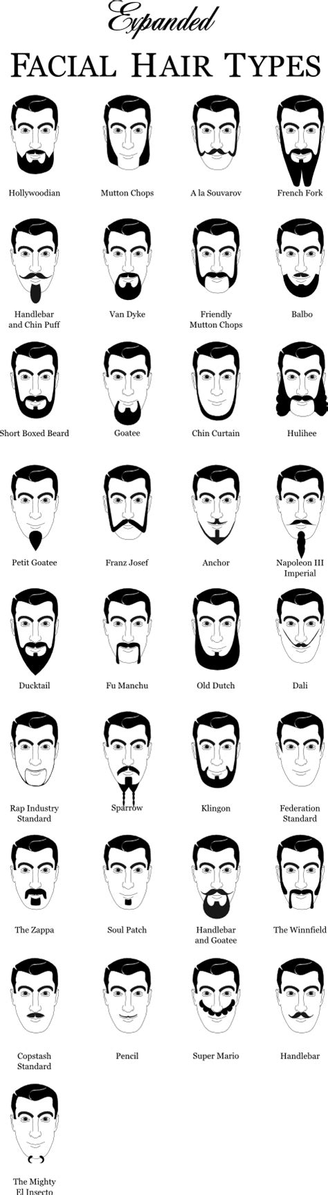 Because facial stuff defines a custom data type for its beards (compared to our approach of extending one of vanilla's data types), our beards and the a: The Expanded Beard Type Chart | Jon Dyer's Blog | Types of ...