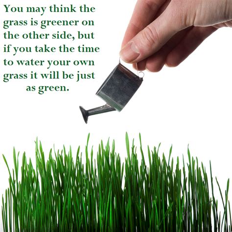 A bit of confusing there.what is neil telling u.the grass i greener who grass mine or my neighbor? Quotes About Grass Being Greener. QuotesGram