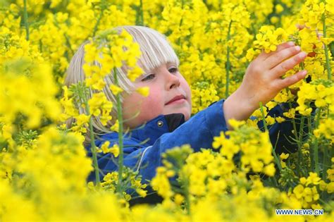 Con un'immagine totalmente rinnovata e con l'obiettivo di promuovere al meglio il mandato tecnico e culturale di topscape quale strumento di promozione. Biélorussie: paysage d'un champ de fleurs de colza à Minsk ...