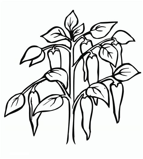 Free printable pepper coloring pages for kids. Pepper coloring pages to download and print for free