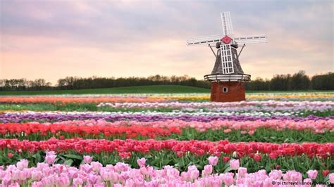 Print imprimir tip página email. Los Países Bajos revolucionan la agricultura. - Agrifor México