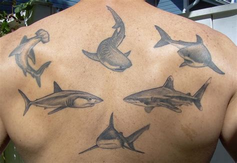 Check spelling or type a new query. Shark Tattoos Designs, Ideas and Meaning | Tattoos For You