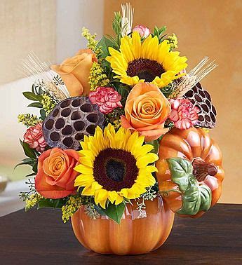 We did not find results for: Pumpkin n' Posies™ | Flower delivery, Flowers delivered ...