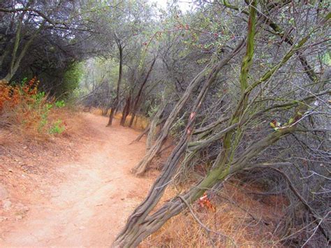 Things to do near parque nacional desierto de los leones. Pin by Barker Block on Oh The Places You'll Go | Oh the ...